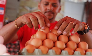 Preço do ovo de galinha sobe quase 19% nos últimos 12 meses, Jornal  Nacional