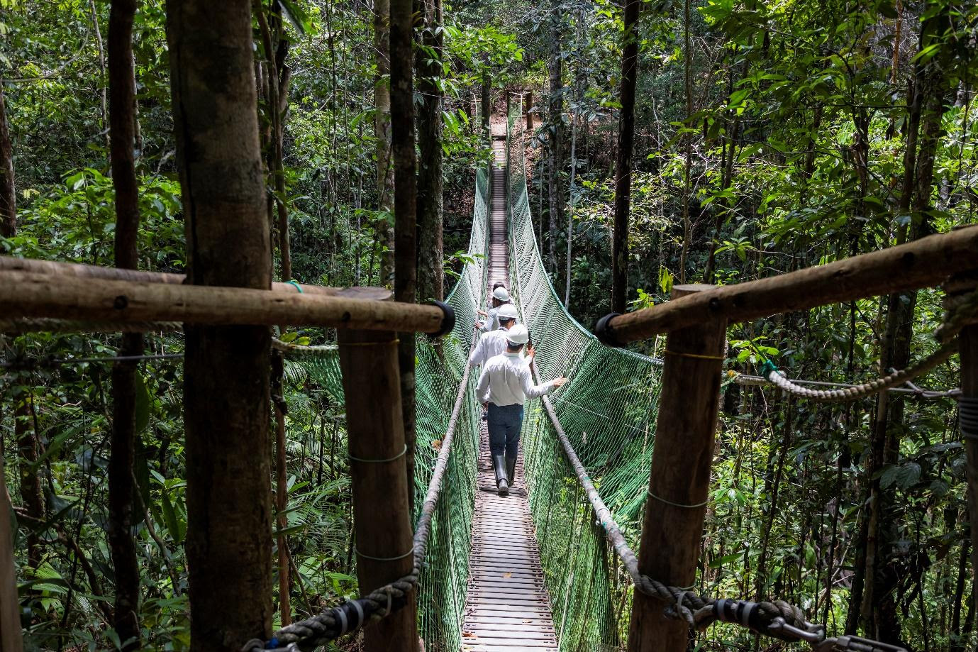 Setor Florestal Divulga Relat Rio Global De Progresso De Sustentabilidade Bahia Economica