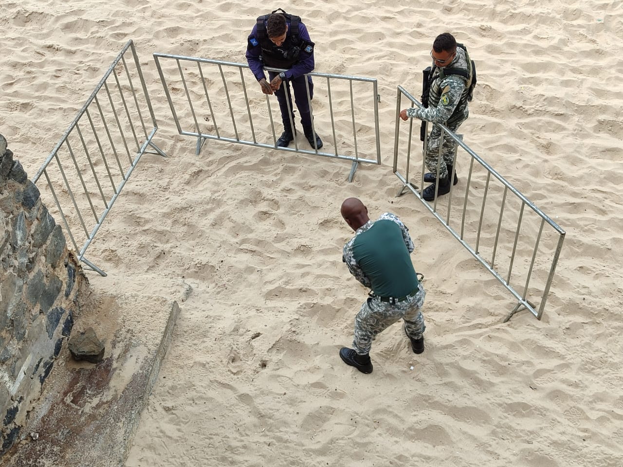 96 OVOS DE TARTARUGA SÃO RESGATADOS PELA GUARDA CIVIL NA PRAIA DA BARRA -  Bahia Economica