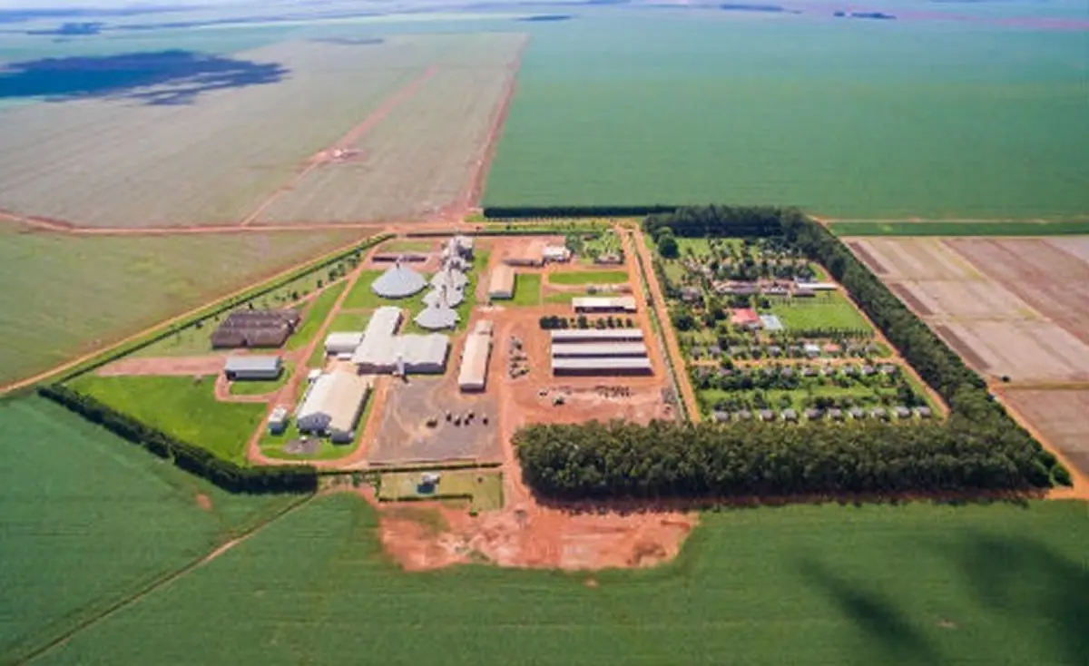 EMPRESA DO SUL, QUE JÁ TEM SEIS FAZENDAS NA BAHIA, COMPRA MAIS 40 MIL HECTARES DE TERRAS NO OESTE. VEJA AS FAZENDAS.