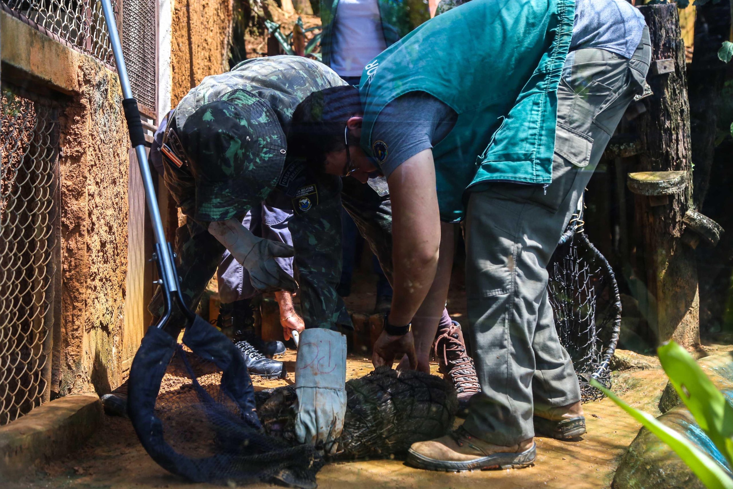 POPULAÇÃO DEVE FICAR ALERTA AO APARECIMENTO DE ANIMAIS SILVESTRES E PEÇONHENTOS DURANTE PERÍODO CHUVOSO