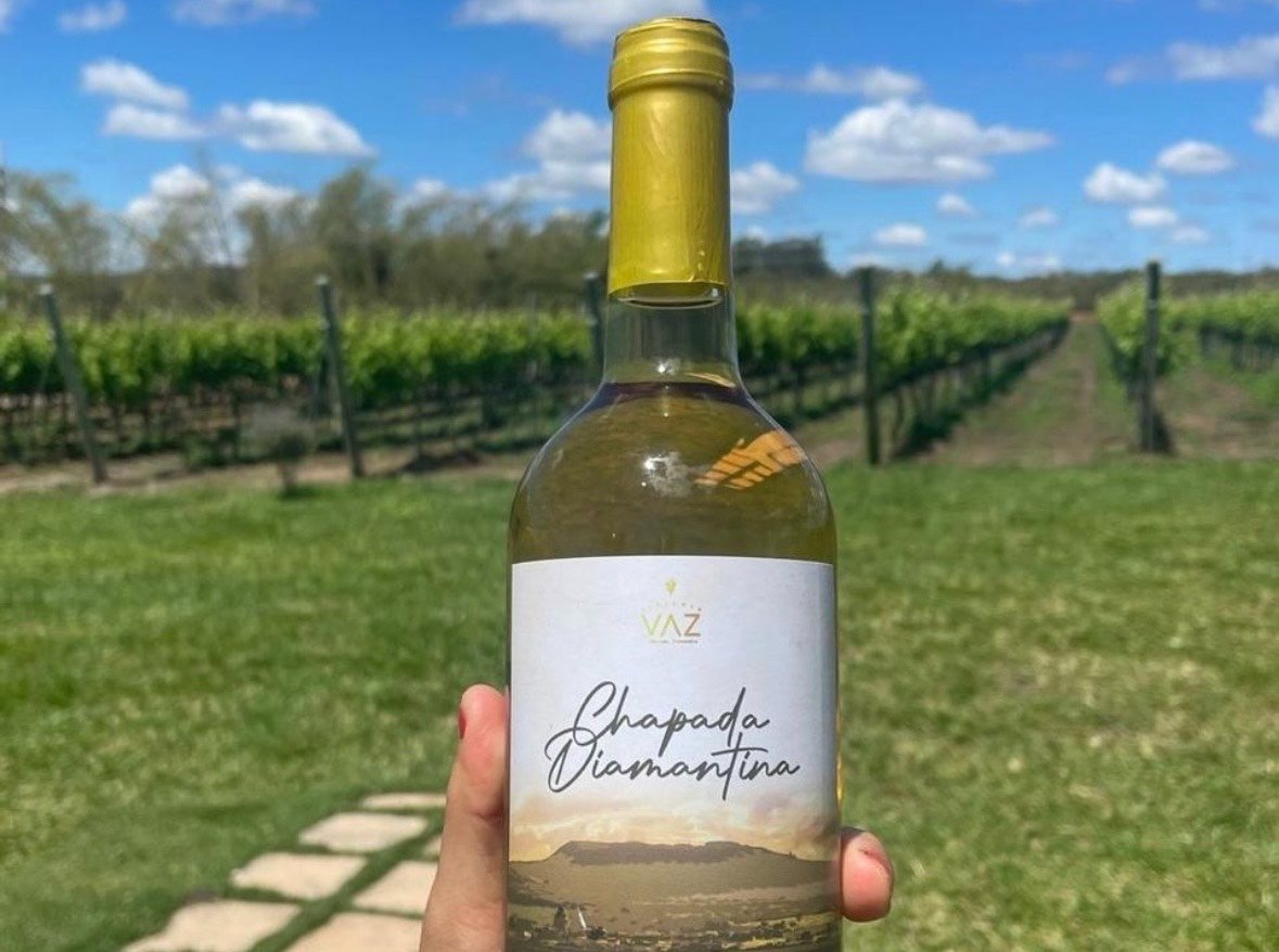 ROTA DO VINHO DA CHAPADA DIAMANTINA DESPERTA INTERESSE DE PROFISSIONAIS DO TURISMO